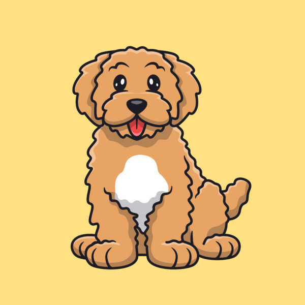 Curly-coated dog illustration on a yellow background