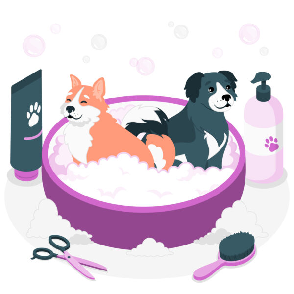 Illustration of a cat and dog in a bath with grooming tools
